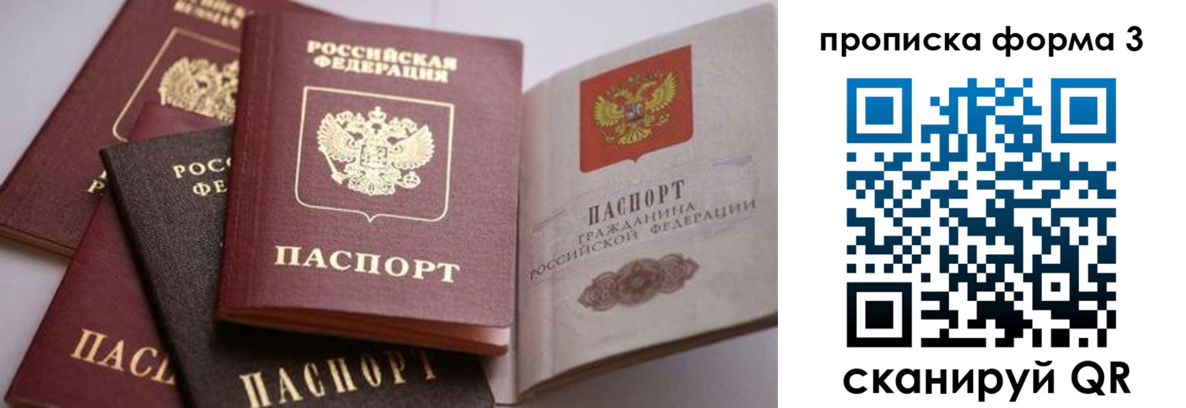 прописка для школы в Балашихе